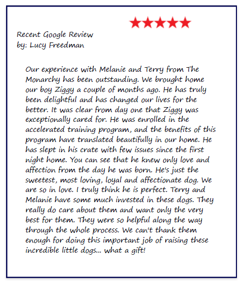 google review google review