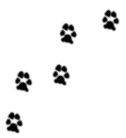 imageedit_5_7916779011 imageedit_5_7916779011