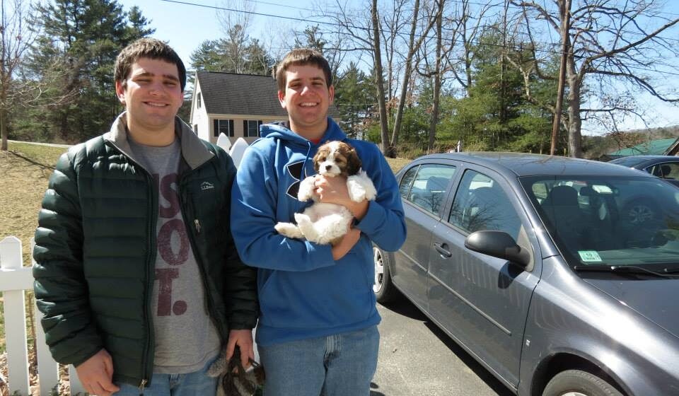 cavachon family