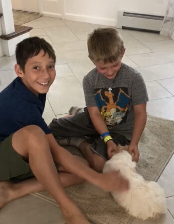 cavachon puppy with boys