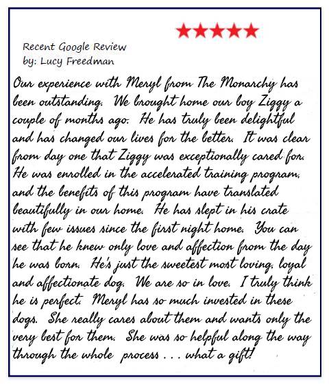 google review